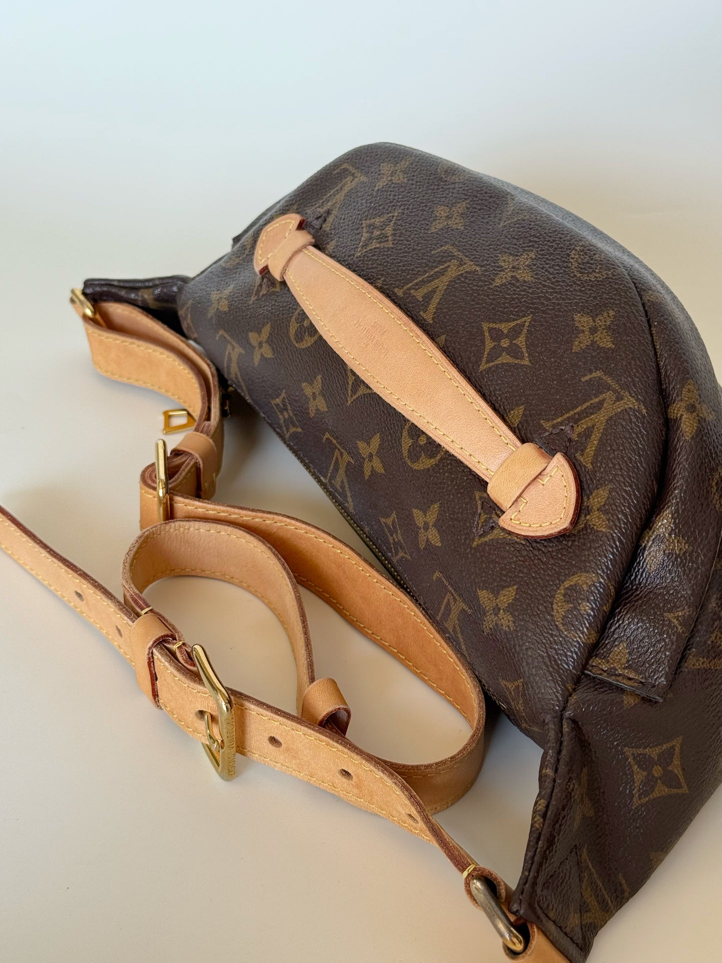Louis Vuitton Monogram Bumbag