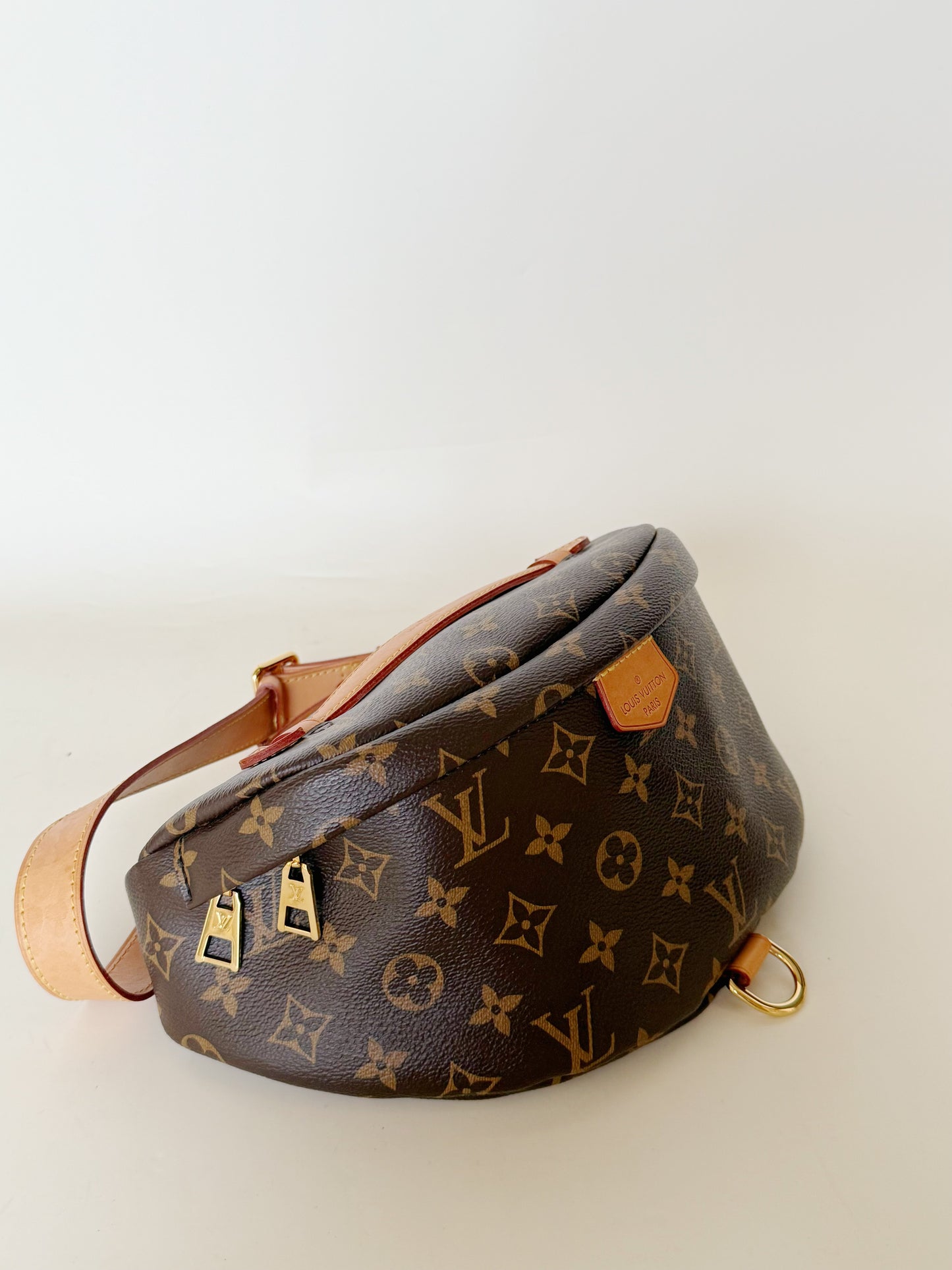 Louis Vuitton Monogram Bumbag