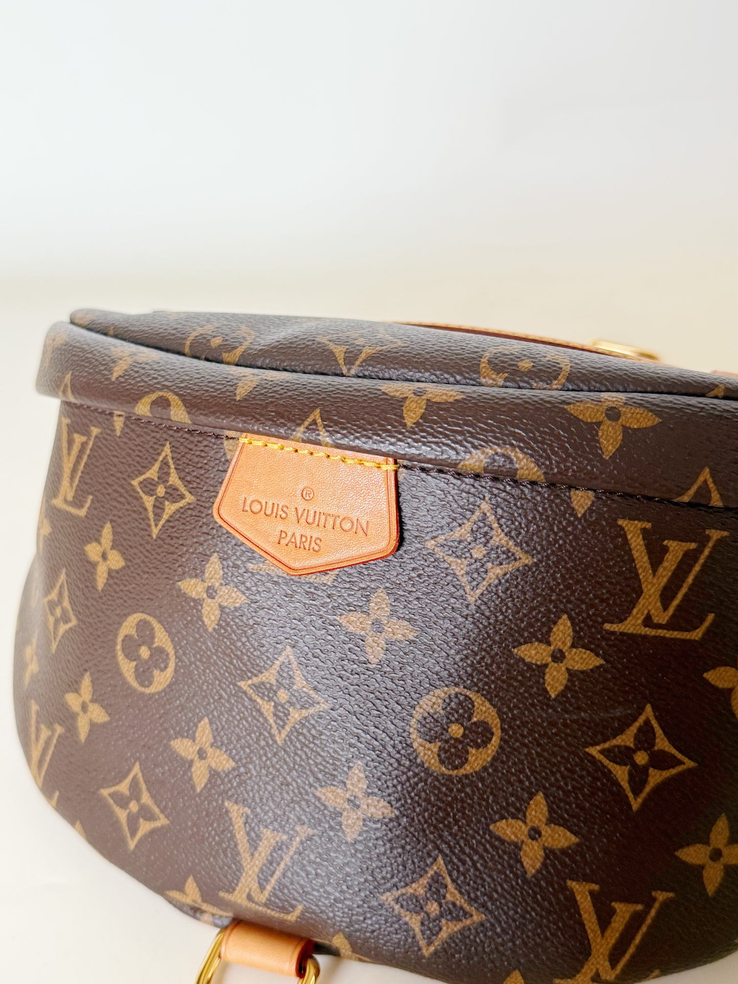 Louis Vuitton Monogram Bumbag