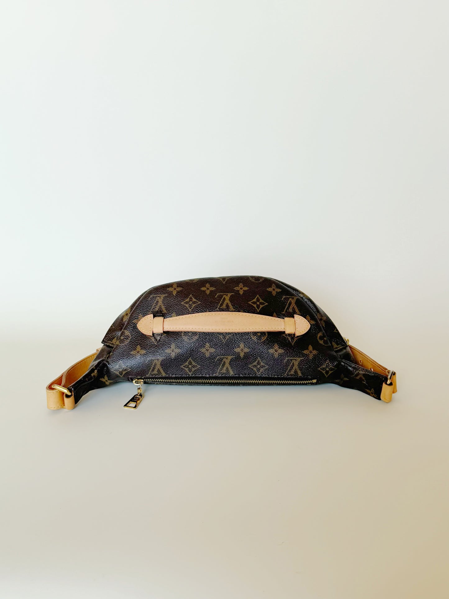 Louis Vuitton Monogram Bumbag