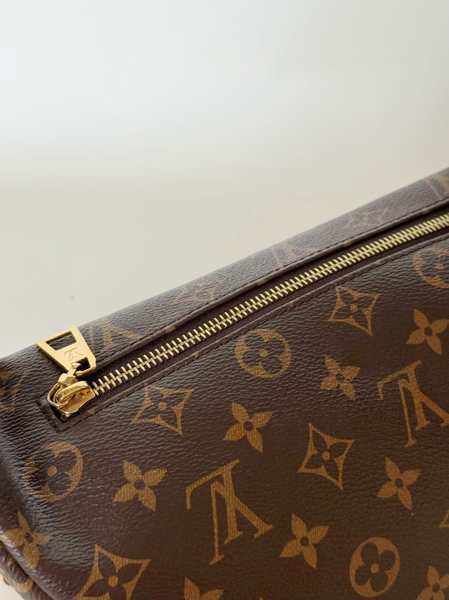 Louis Vuitton Monogram Bumbag