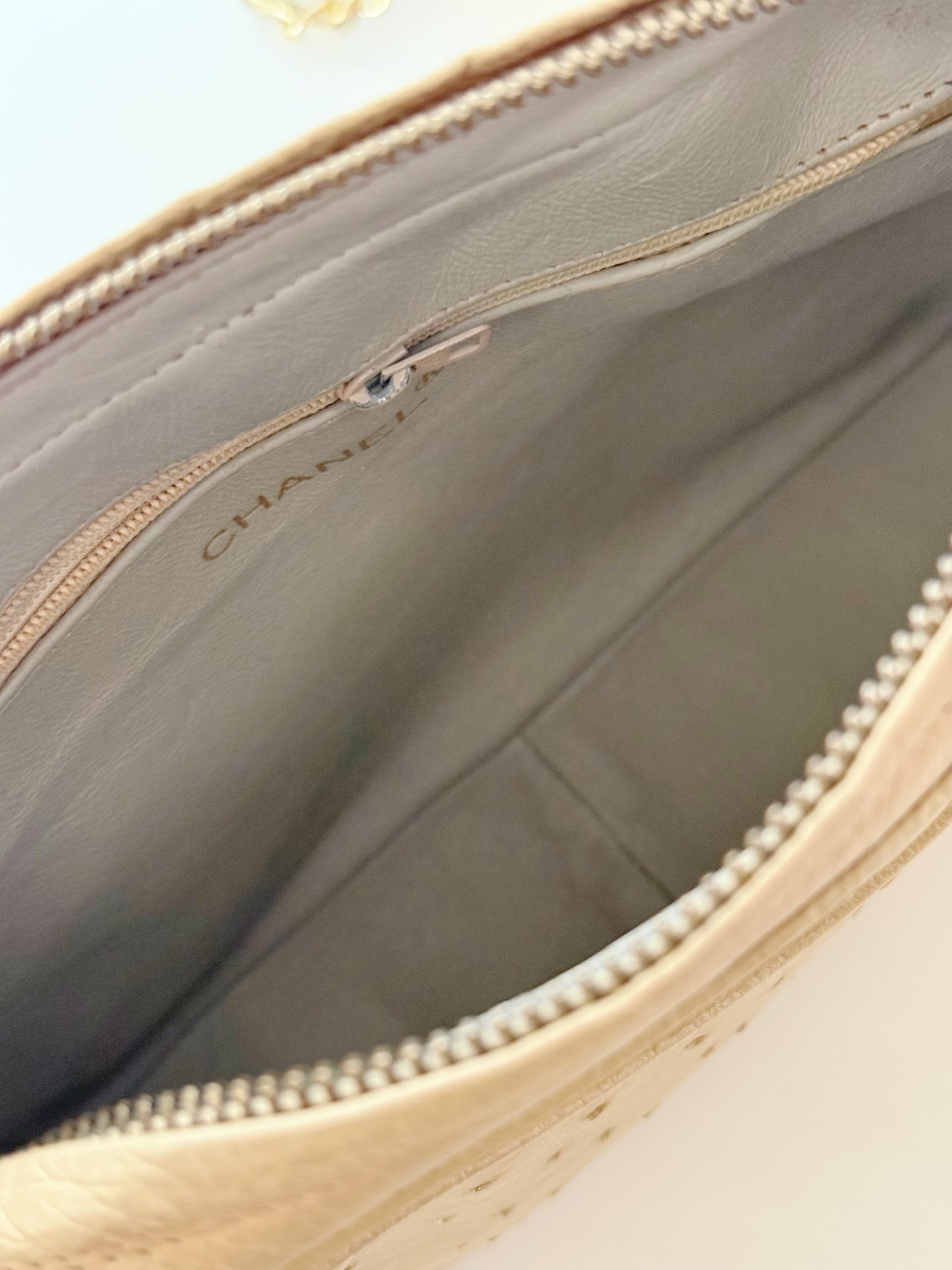 Chanel Vintage Ostrich Camera Bag