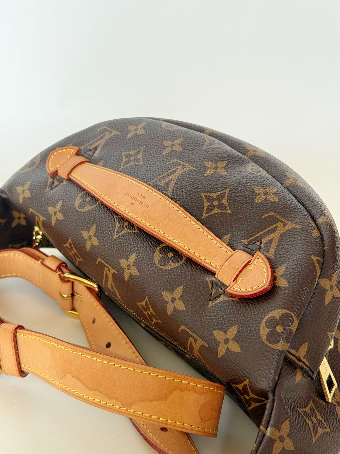 Louis Vuitton Monogram Bumbag