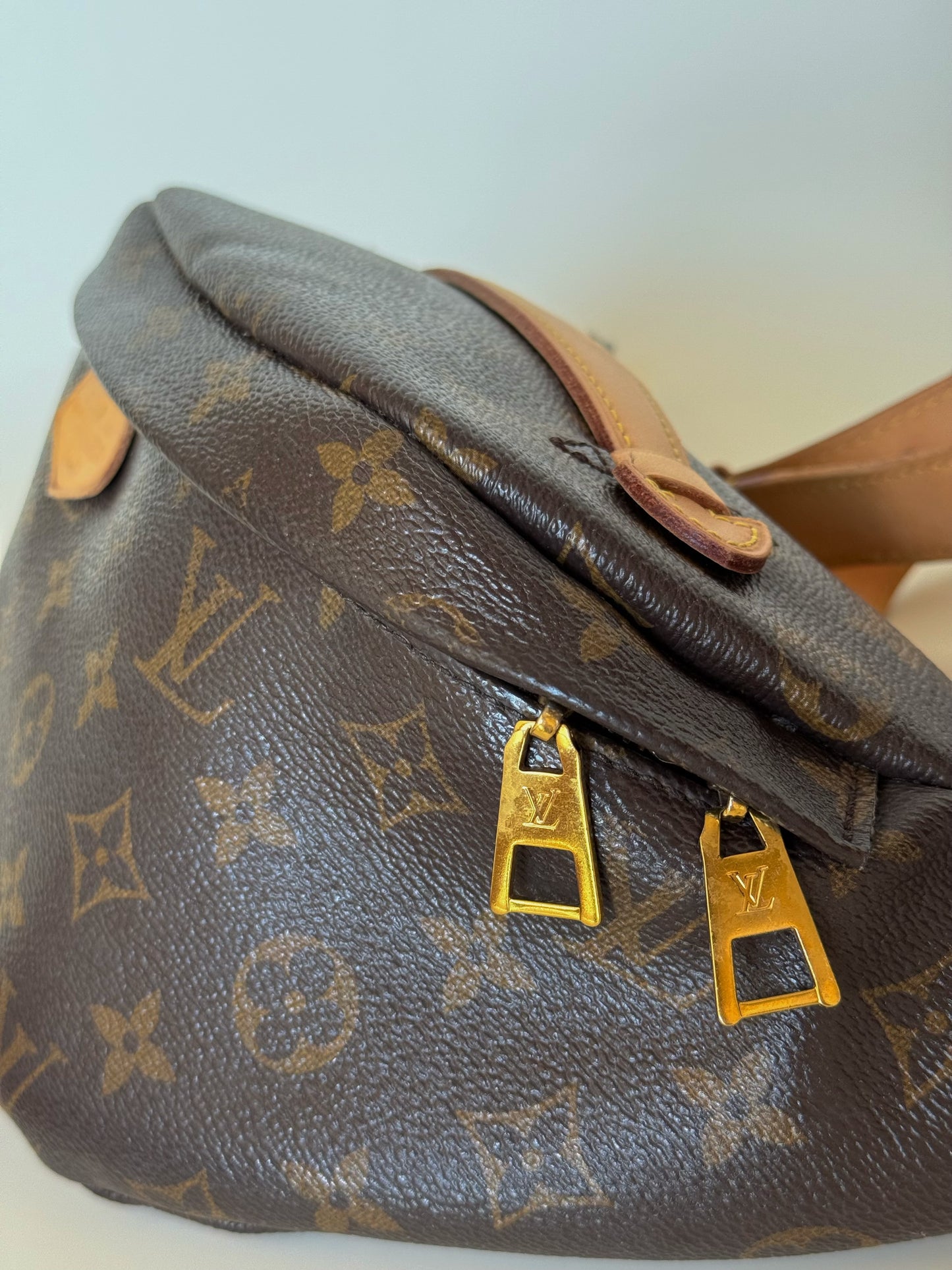Louis Vuitton Monogram Bumbag