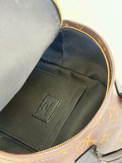Louis Vuitton Monogram Palm Springs Backpack Mini