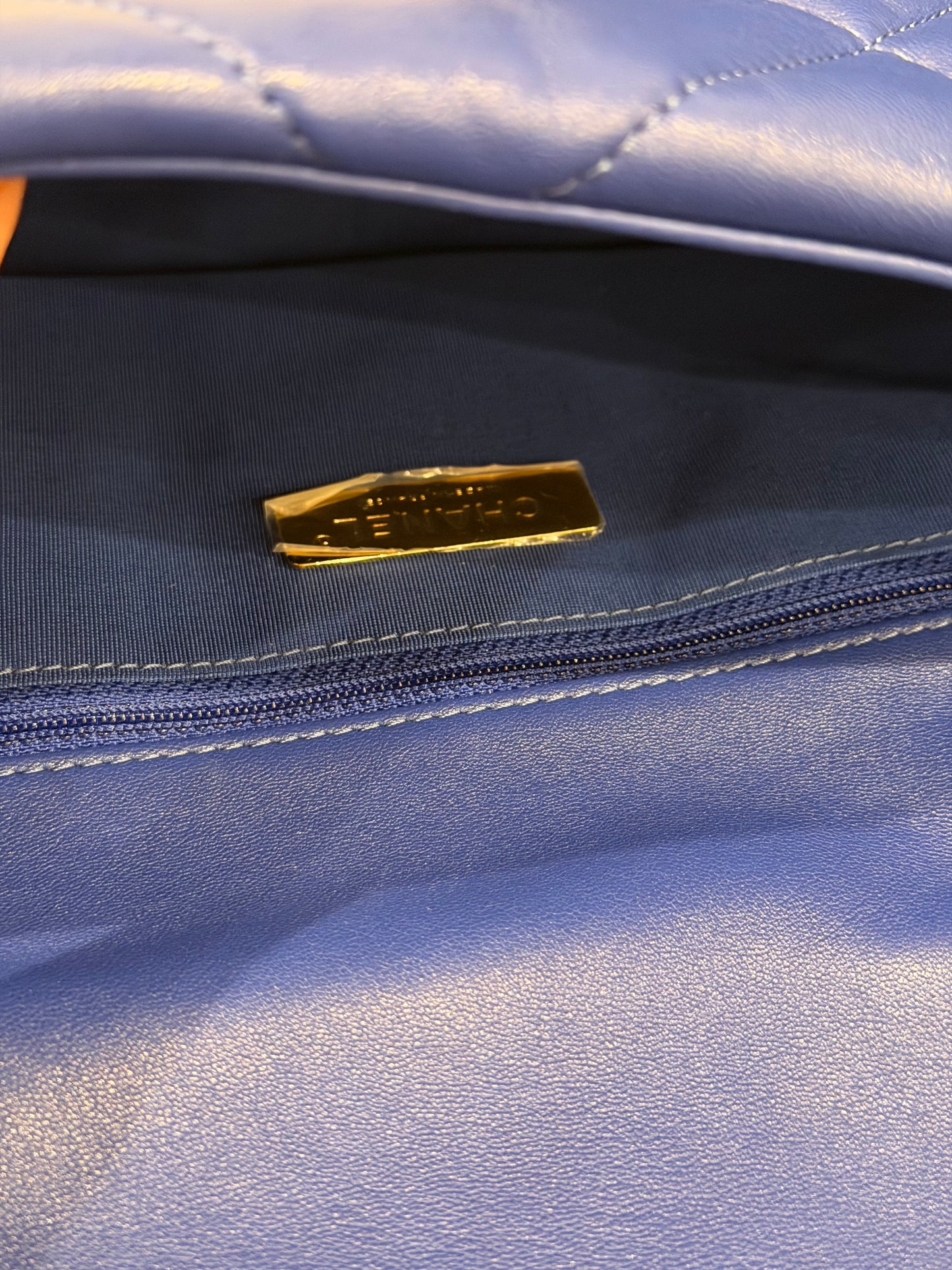 Chanel Goatskin Quilted Chanel 19 Flap Bag