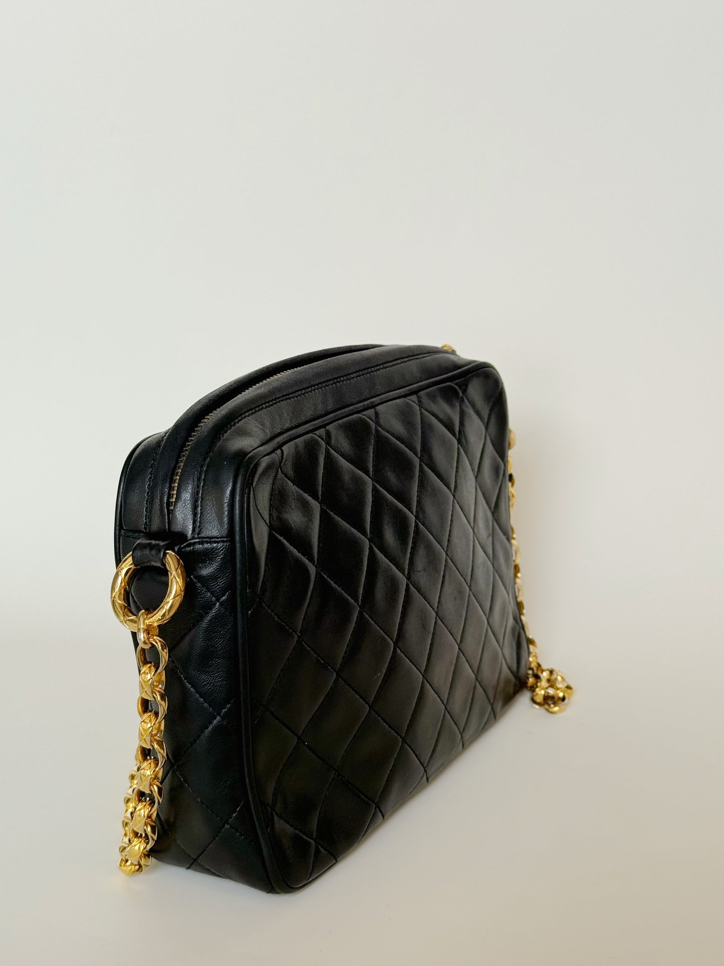 Chanel Leather Camera Tassel Bag