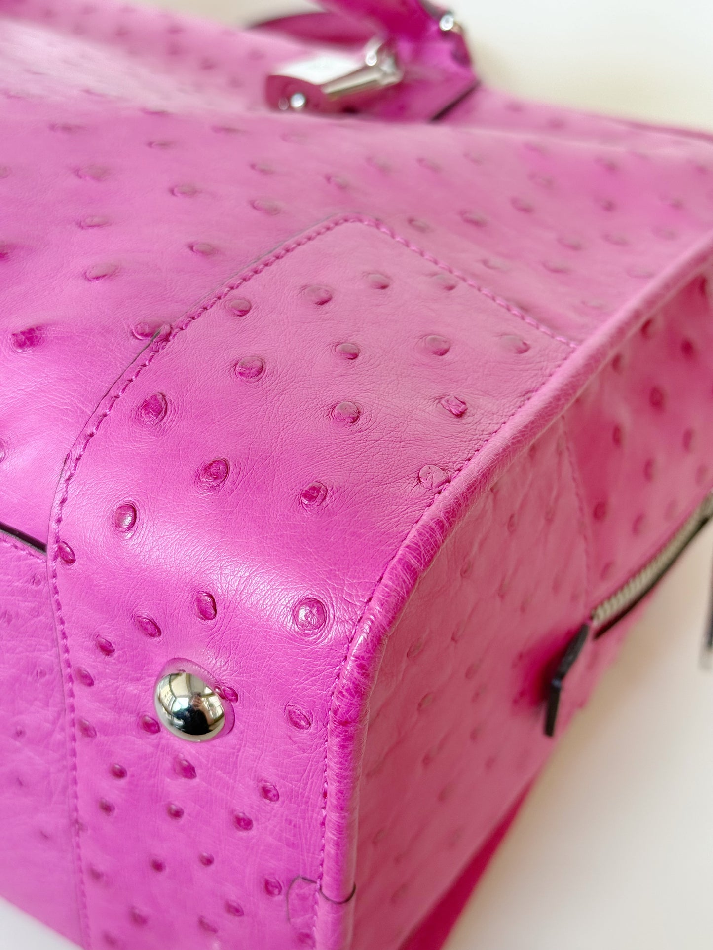 Loewe Ostrich Amazona Bag