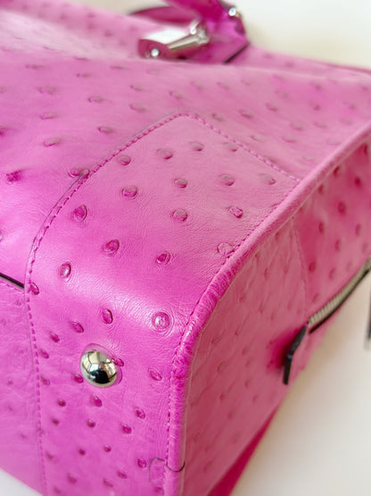 Loewe Ostrich Amazona Bag