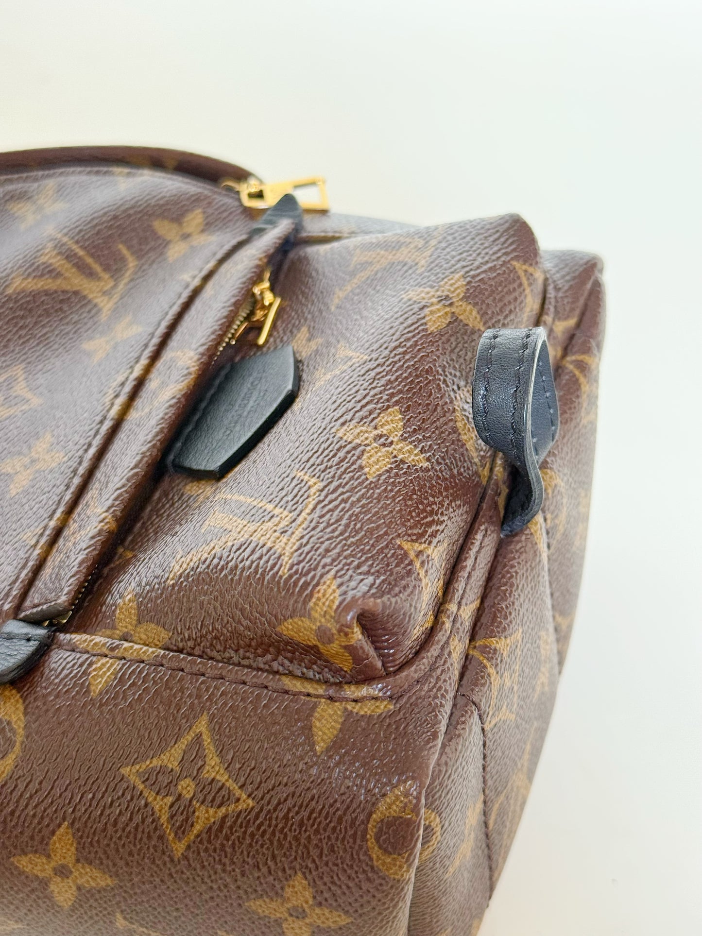 Louis Vuitton Monogram Palm Springs Backpack Mini