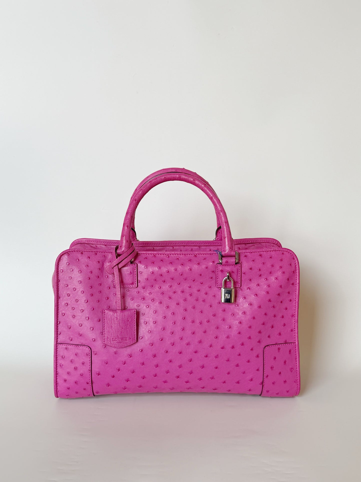 Loewe Ostrich Amazona Bag
