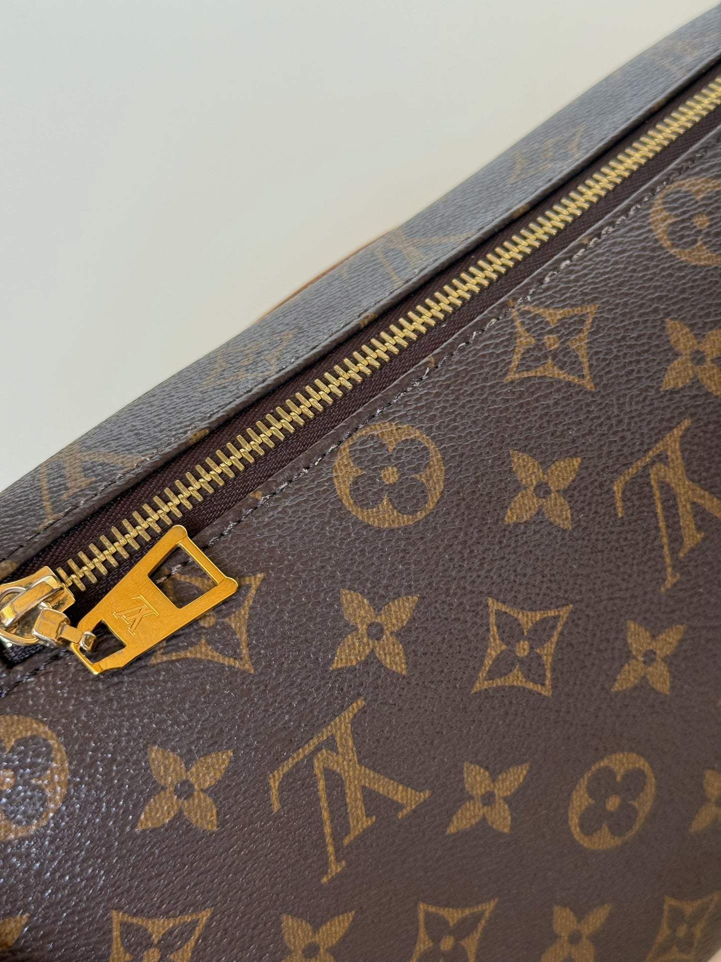Louis Vuitton Monogram Bumbag