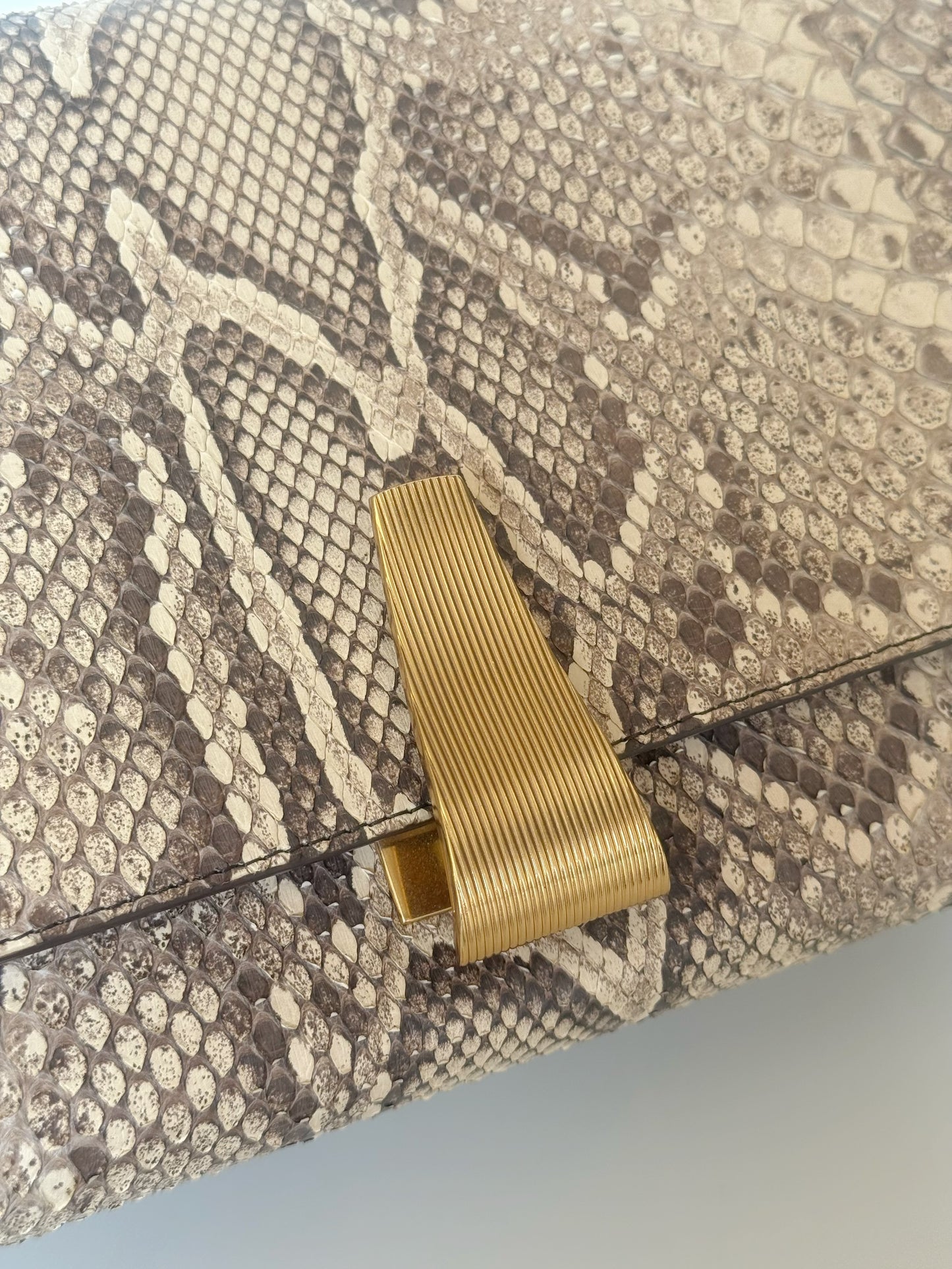 Bottega Veneta Snakeskin BV Angle Shoulder Bag