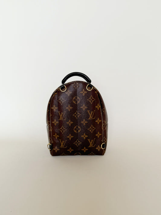 Louis Vuitton Monogram Palm Springs Backpack Mini