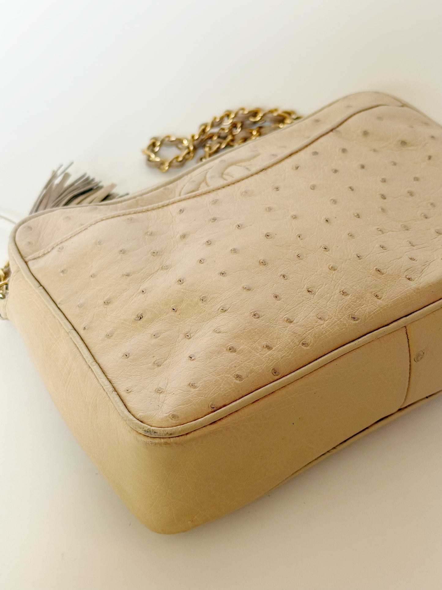 Chanel Vintage Ostrich Camera Bag