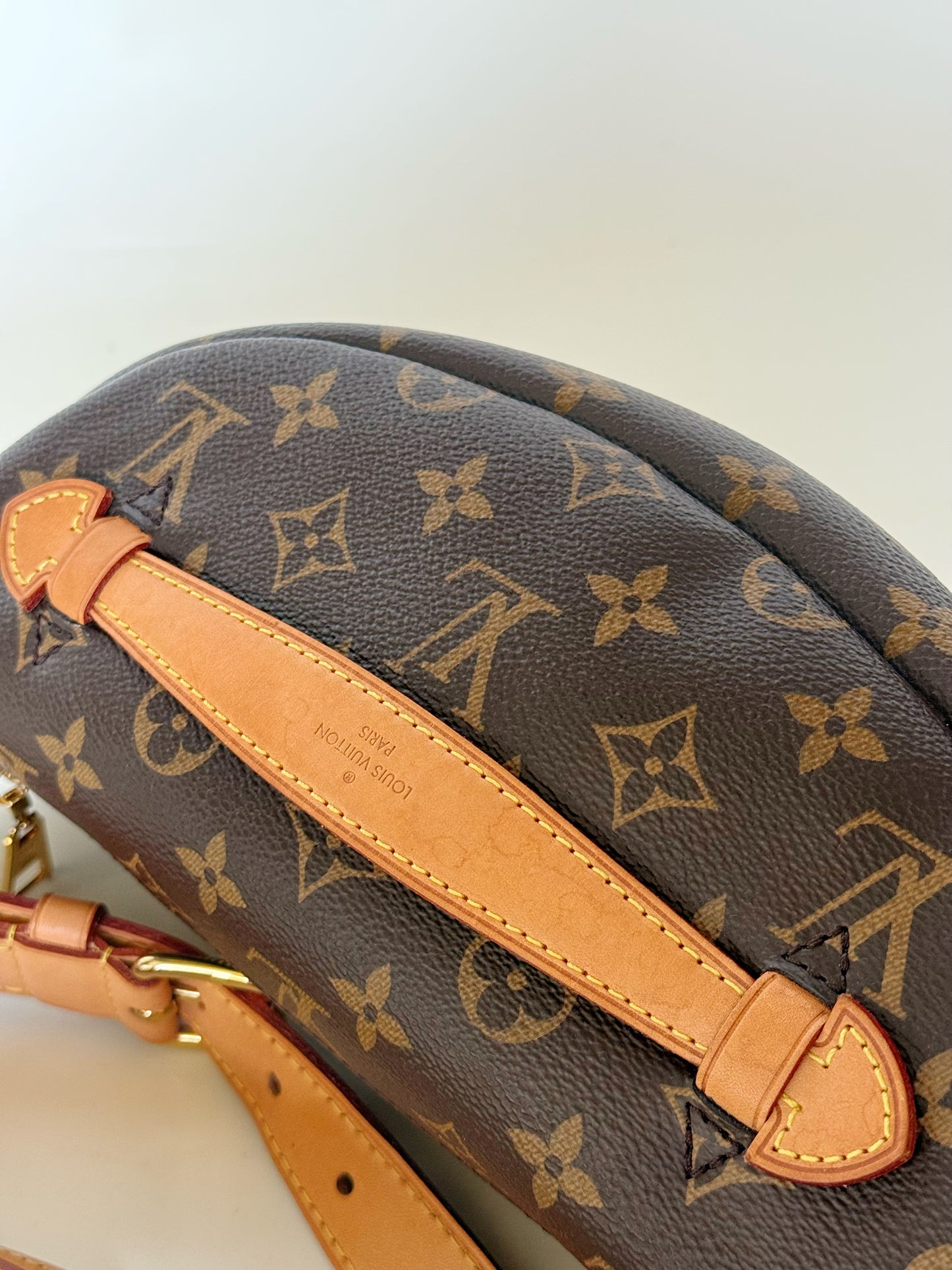 Louis Vuitton Monogram Bumbag