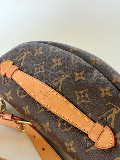 Louis Vuitton Monogram Bumbag