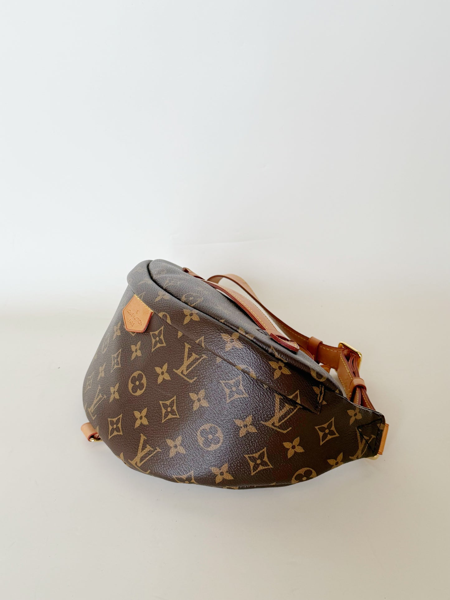Louis Vuitton Monogram Bumbag