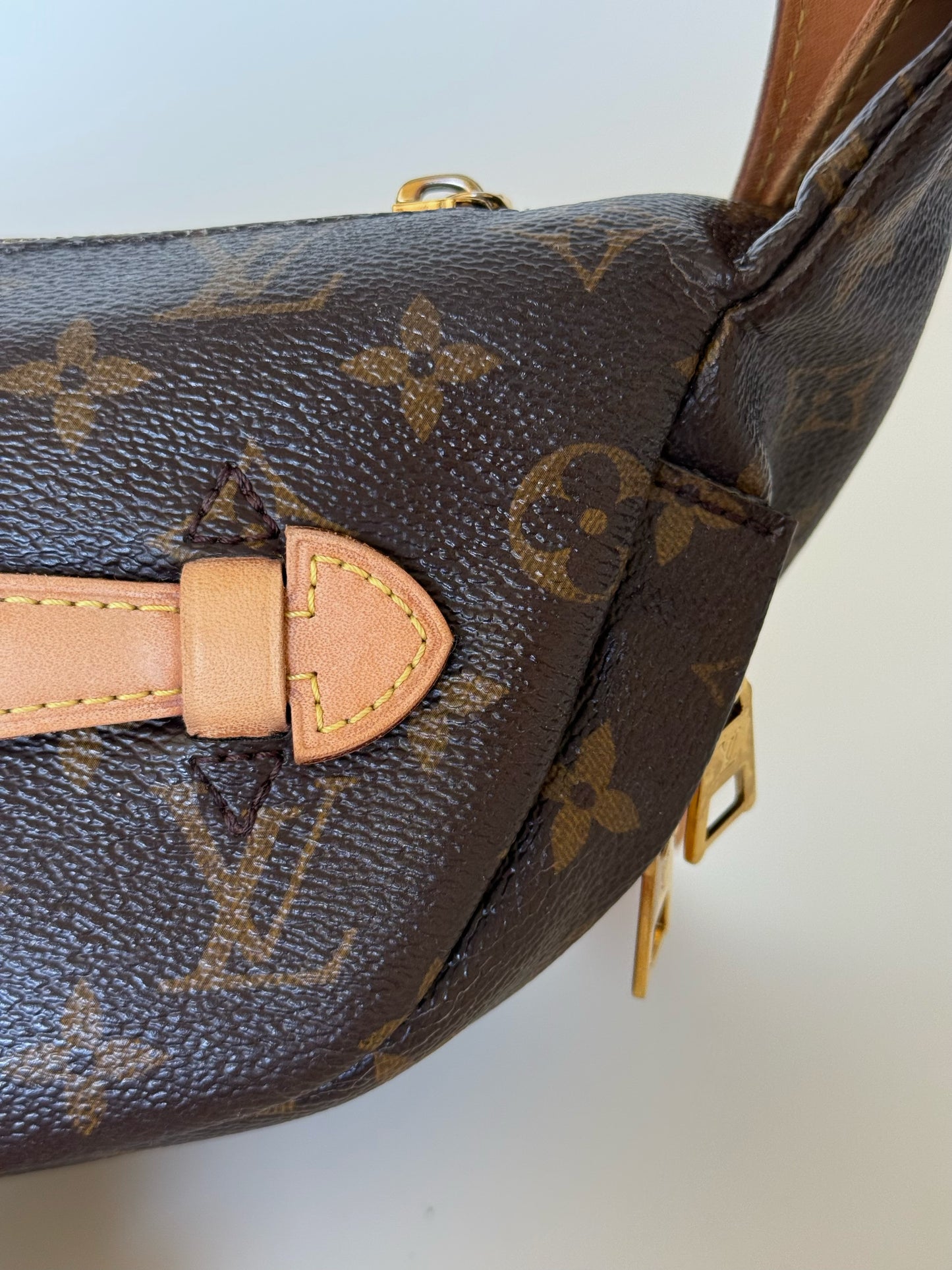 Louis Vuitton Monogram Bumbag