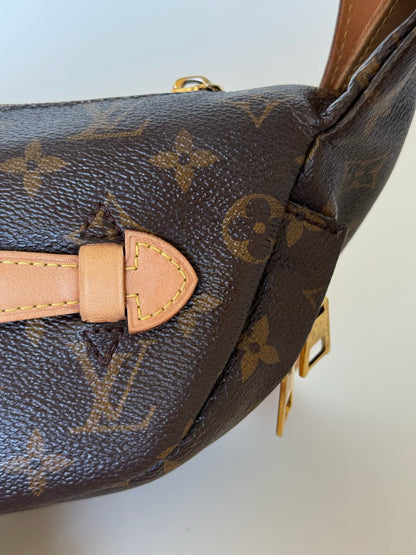 Louis Vuitton Monogram Bumbag