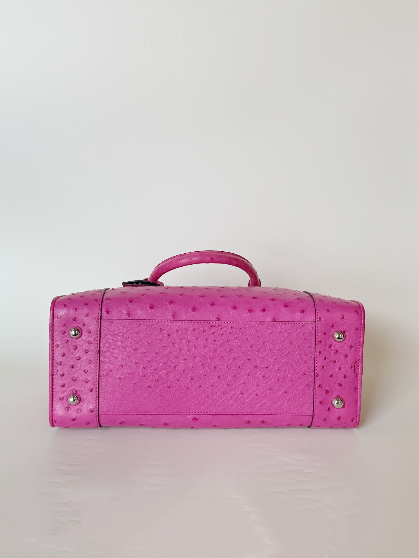 Loewe Ostrich Amazona Bag