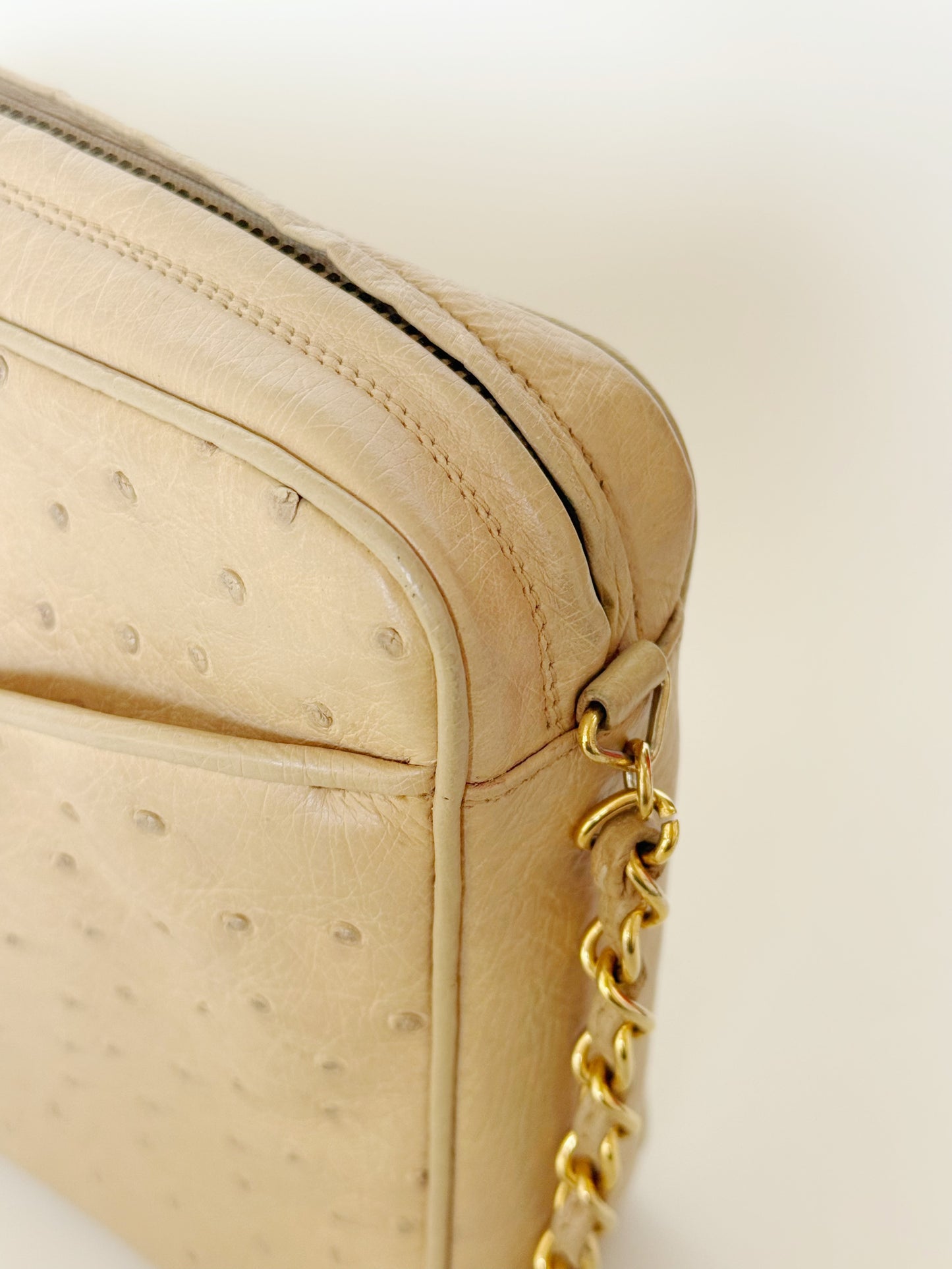 Chanel Vintage Ostrich Camera Bag