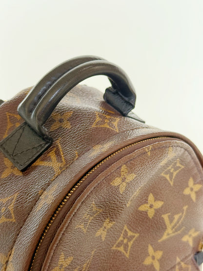 Louis Vuitton Monogram Palm Springs Backpack Mini