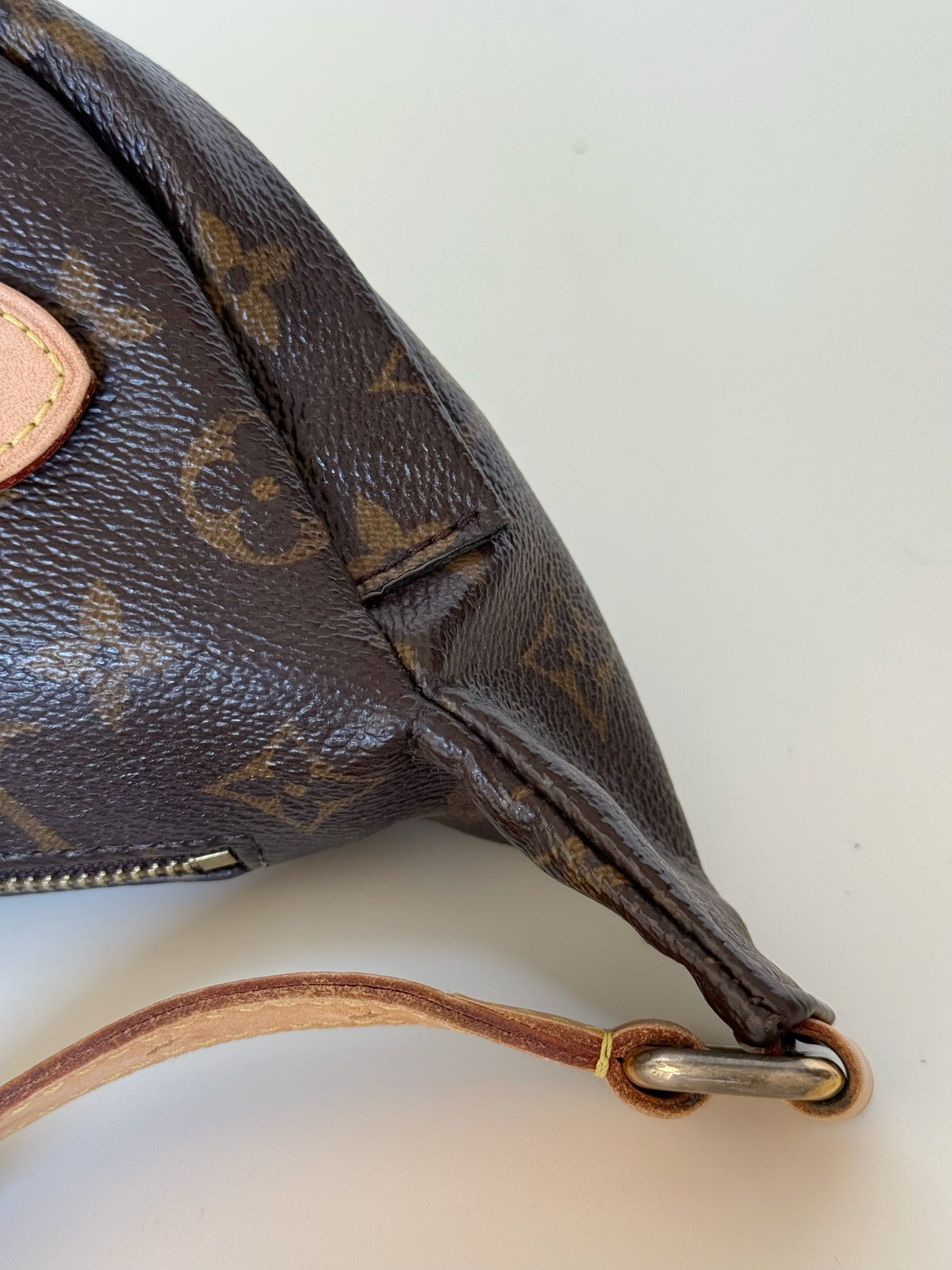 Louis Vuitton Monogram Bumbag