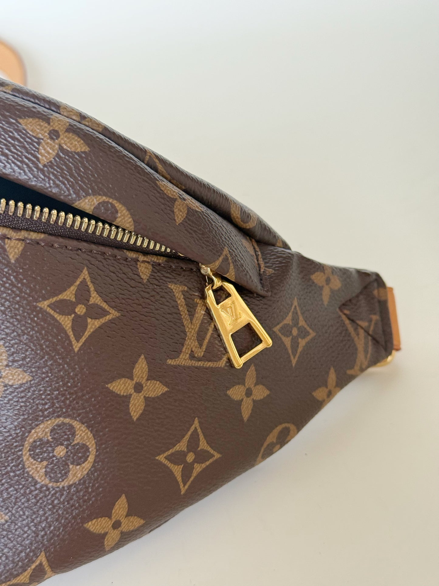Louis Vuitton Monogram Bumbag