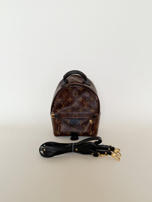 Louis Vuitton Monogram Palm Springs Backpack Mini