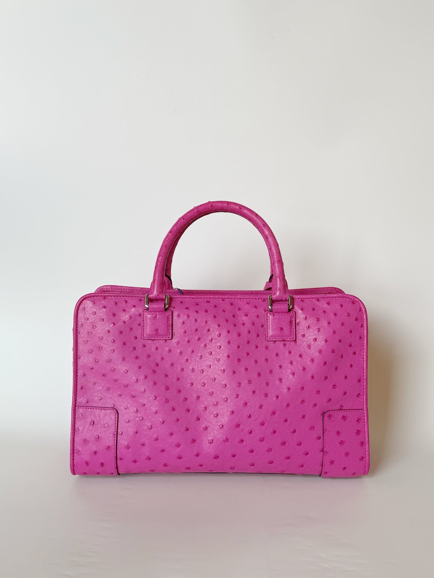 Loewe Ostrich Amazona Bag