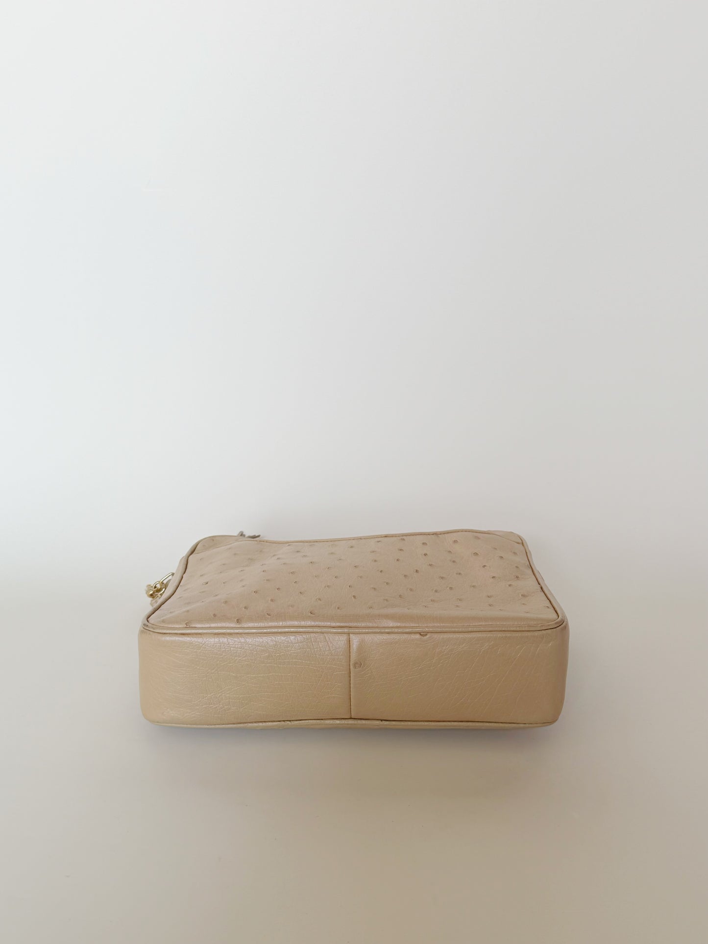 Chanel Vintage Ostrich Camera Bag