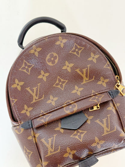 Louis Vuitton Monogram Palm Springs Backpack Mini