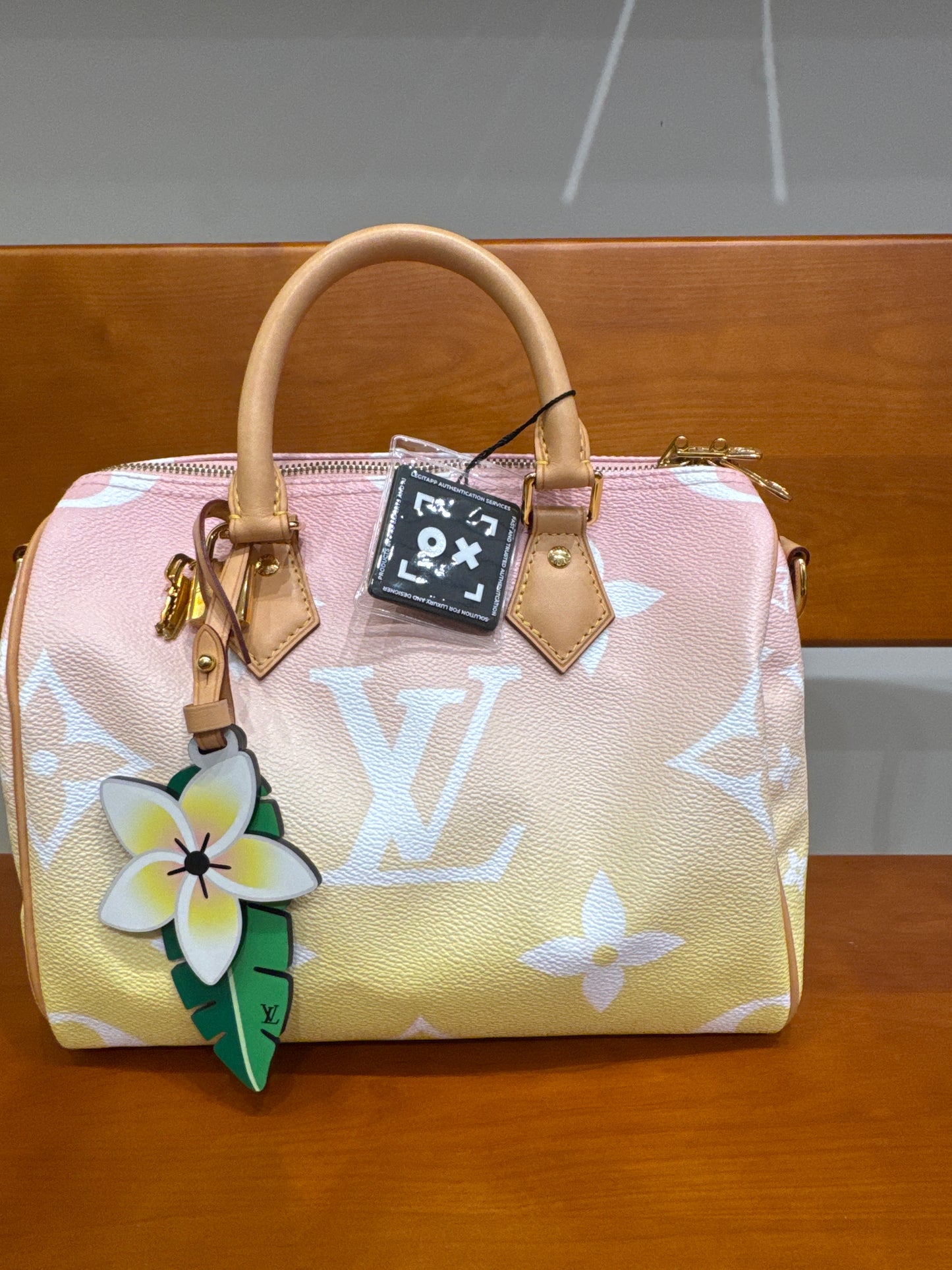 Louis Vuitton Monogram By The Pool Speedy 25 CN4046
