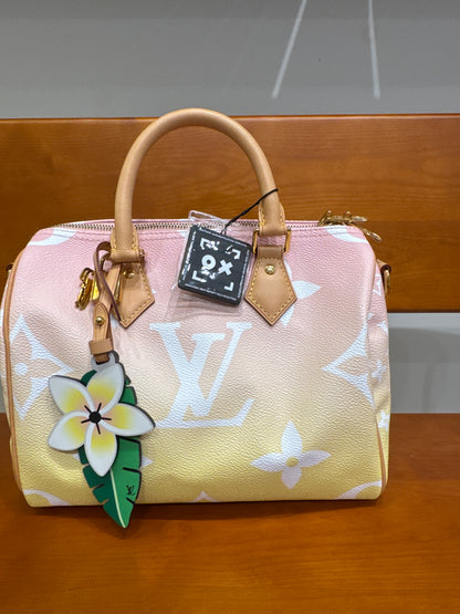 Louis Vuitton Monogram By The Pool Speedy 25 CN4046