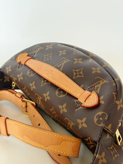 Louis Vuitton Monogram Bumbag