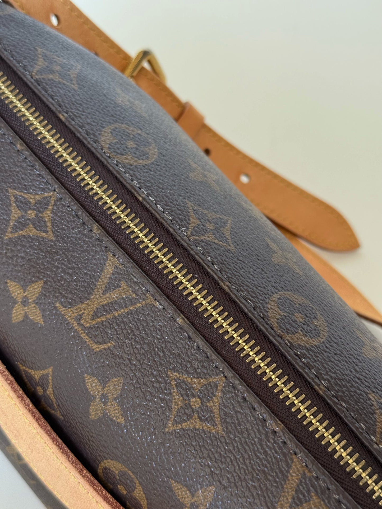 Louis Vuitton Monogram Bumbag